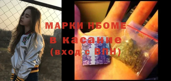 шишки Дмитровск