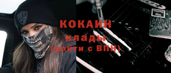 шишки Дмитровск