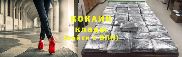 меф Дмитриев