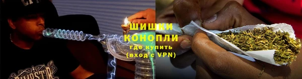 шишки Дмитровск