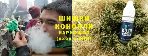 шишки Дмитровск