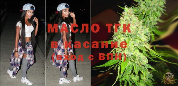 мдпв Гусь-Хрустальный