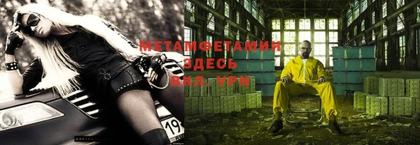 шишки Дмитровск