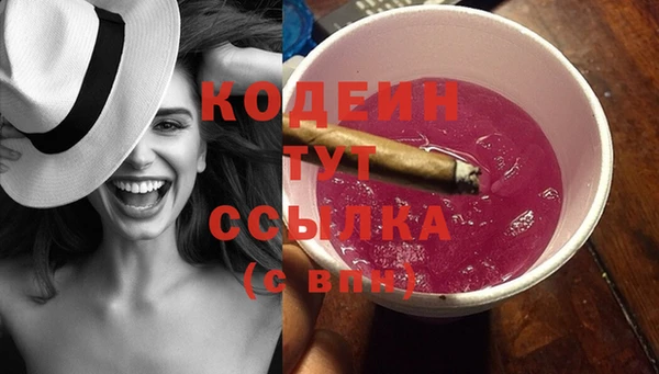 шишки Дмитровск
