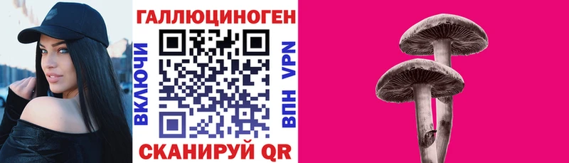 Галлюциногенные грибы Cubensis  Купить  Бузулук 